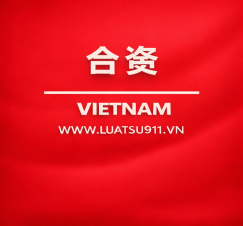 为外国投资者在越南企业出资及购股提供咨询服务