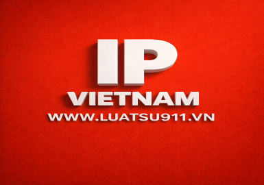 知识产权资产（Intellectual Property Assets）