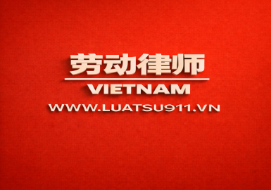 越南社会主义共和国民事诉讼法(越南民事诉讼法)