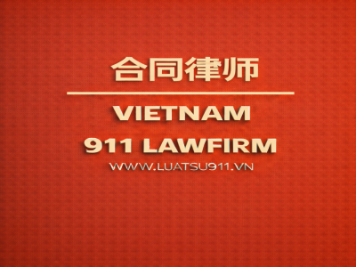 911越南律师事务所提供咨询服务的合同类型