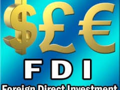 在宣光省成立外商代表处