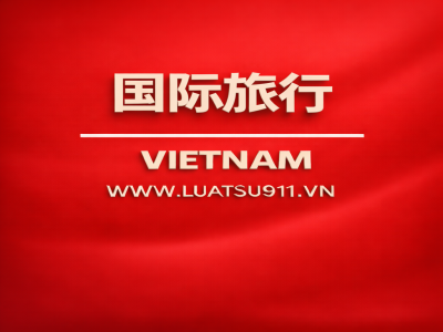 申请国际旅行社经营许可证的流程