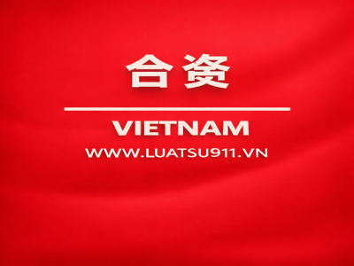 为外国投资者在越南企业出资及购股提供咨询服务