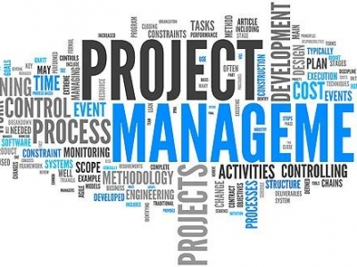 开展项目的统筹和实施管理的咨询服务