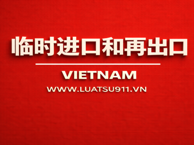 临时进口许可证