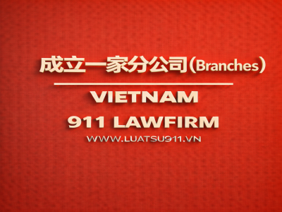 分公司（Branches）