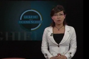 Vu Ngoc Dung律师 - 不公平竞争（律师和企业）