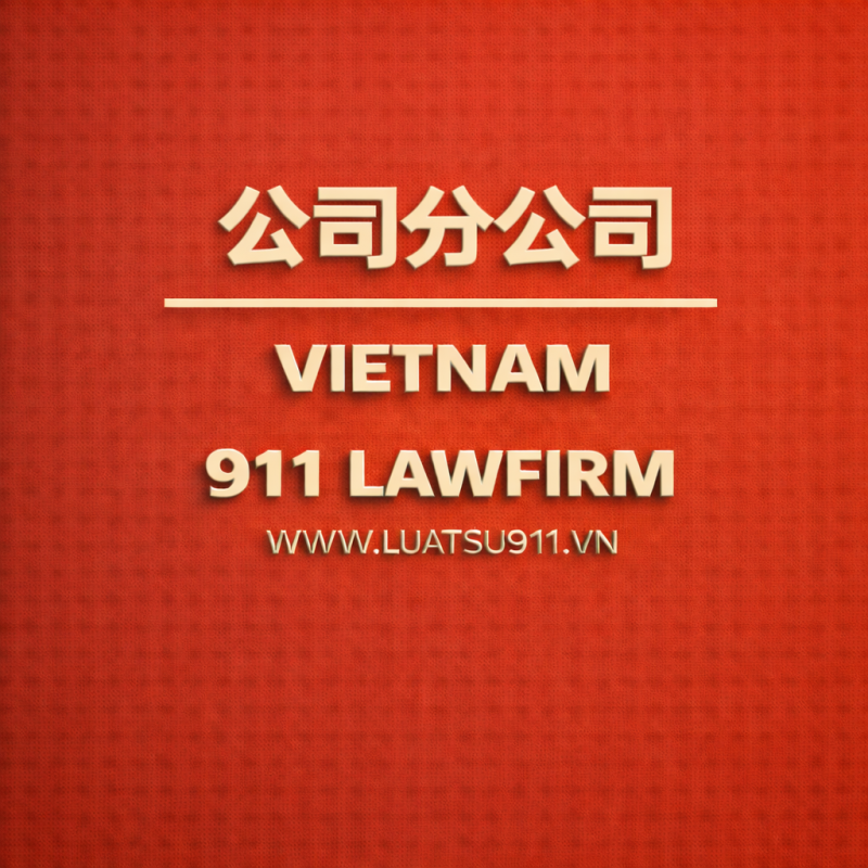 成立分公司咨询流程